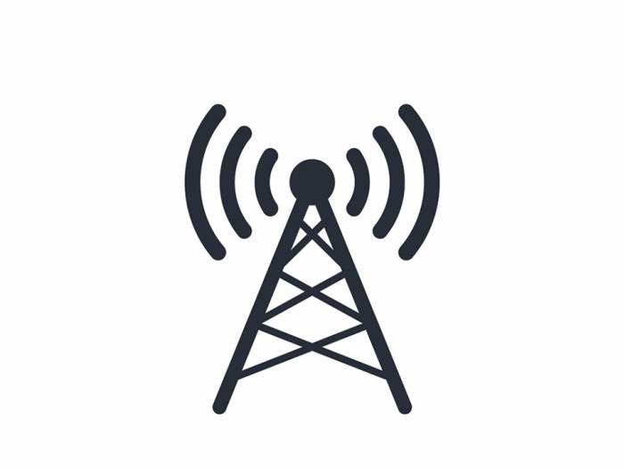 [Radio Mesh Network]